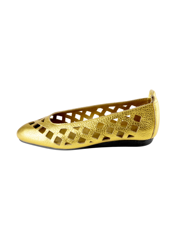 Lamdia ballerinas - Image 2